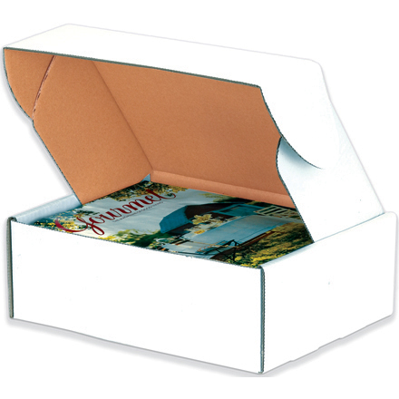 Deluxe White Literature Mailers 1